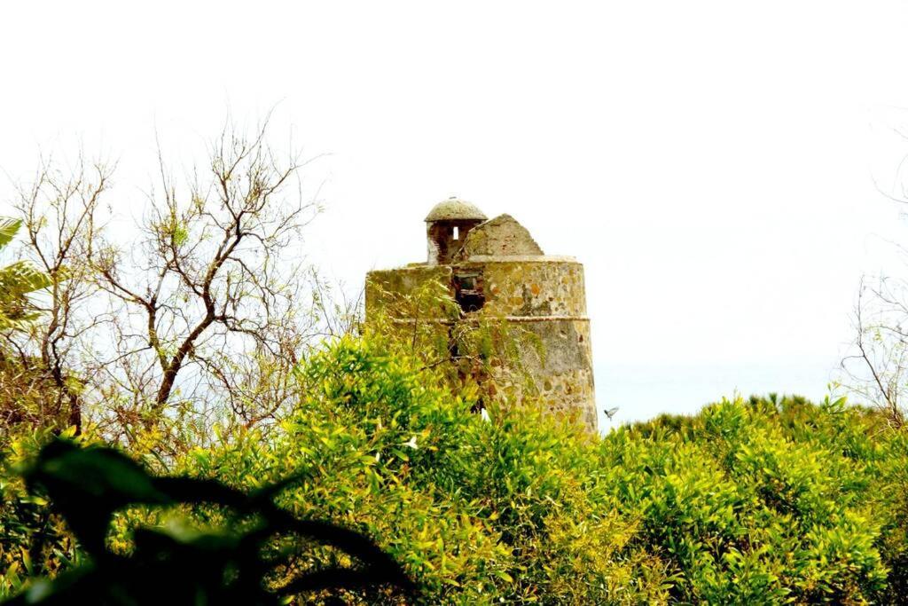 Villa Torrenueva Малага Экстерьер фото